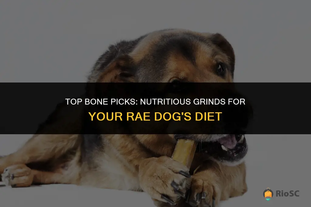 best bones for grinding up for rae dog food