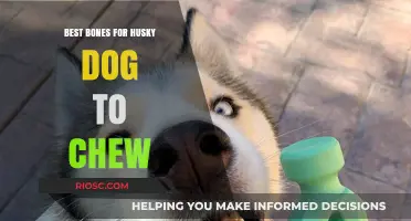 Safe and Durable Chew Bones for Huskies: Top Picks for Healthy Dental Care
