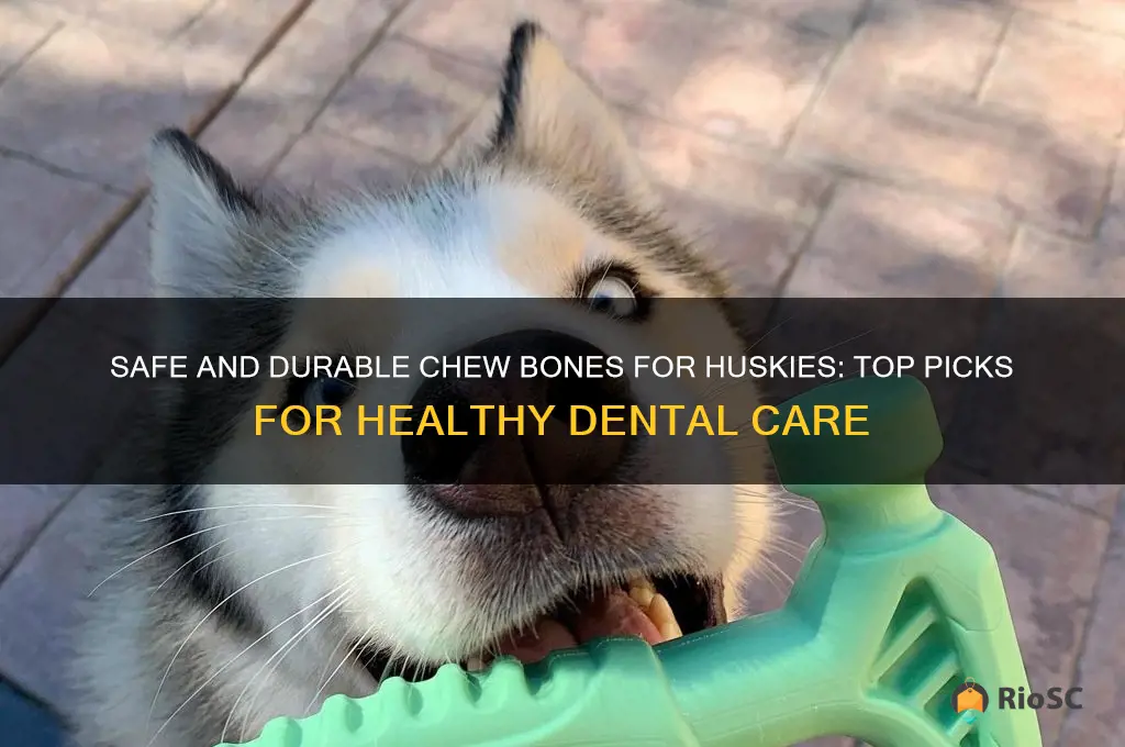 best bones for husky dog to chew