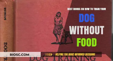 Positive Reinforcement Training: A Guide to Dog Obedience Without Food Rewards