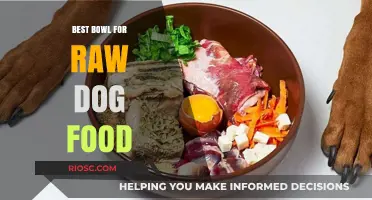 Top Picks for Raw Dog Food Bowls: A Comprehensive Guide