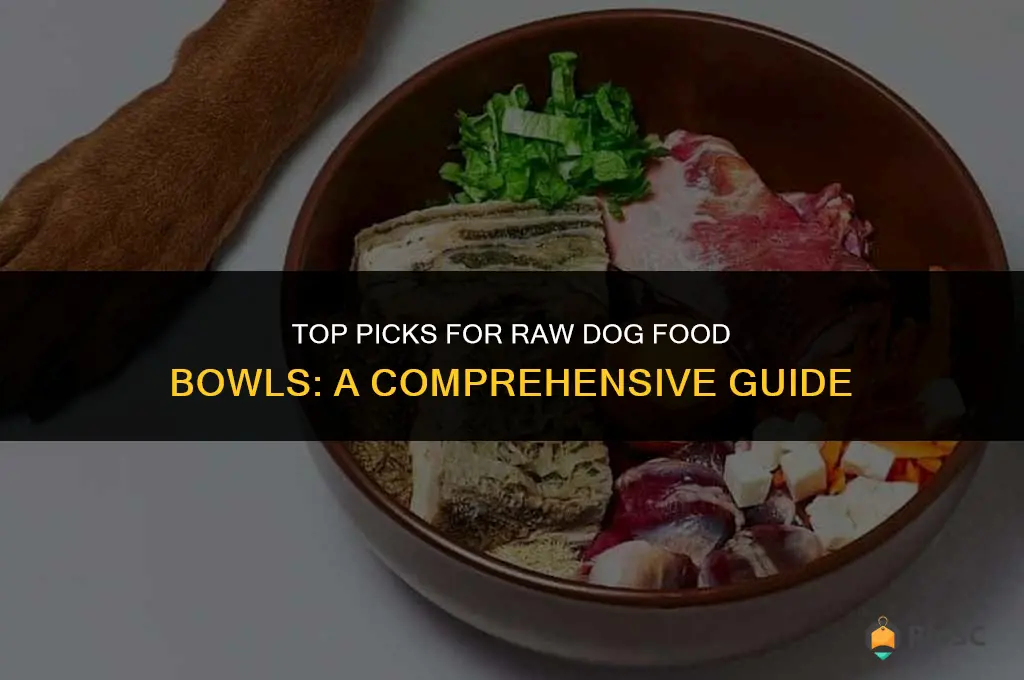 best bowl for raw dog food