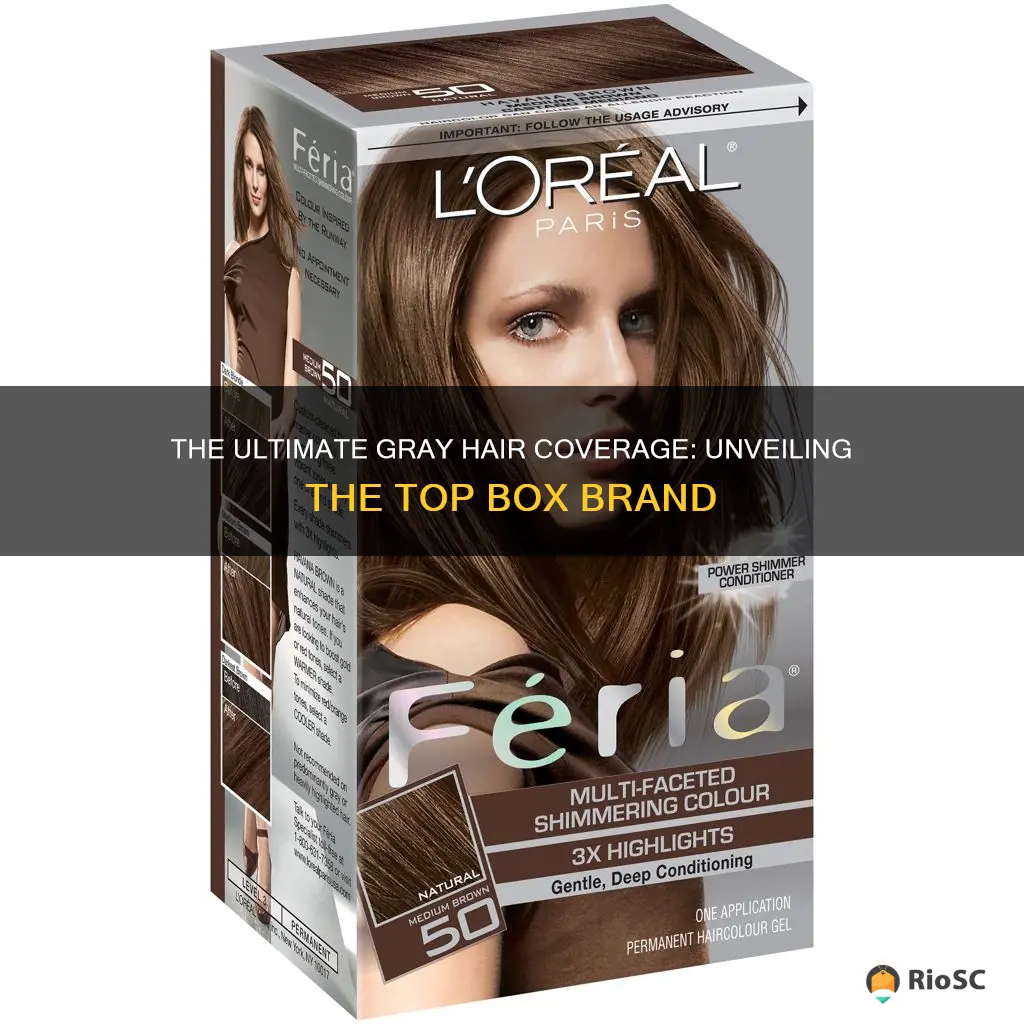 best box brand to cover gray hair