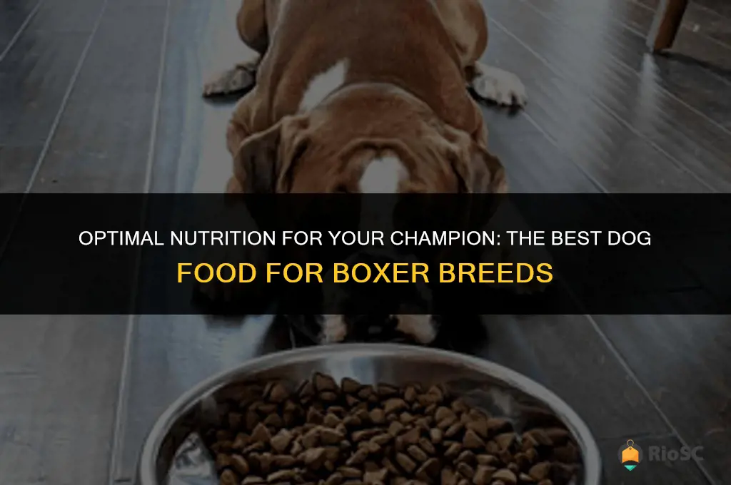 best boxer breed dog food