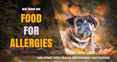 Top Picks for Boxer Dog Food: Alleviating Allergies with Nutrition