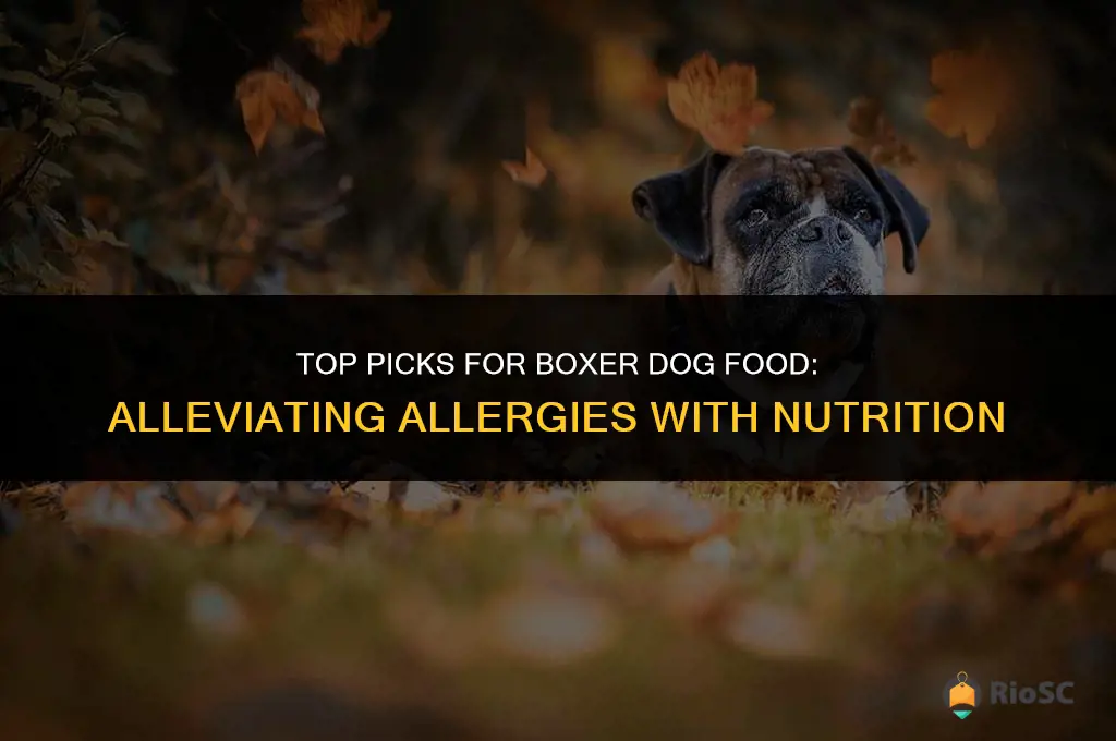 best boxer dog food for allergies