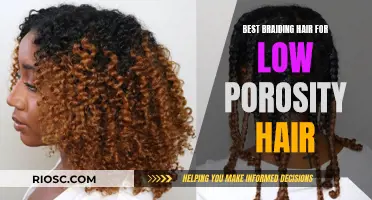 Unlocking the Secrets to Braiding Low Porosity Hair