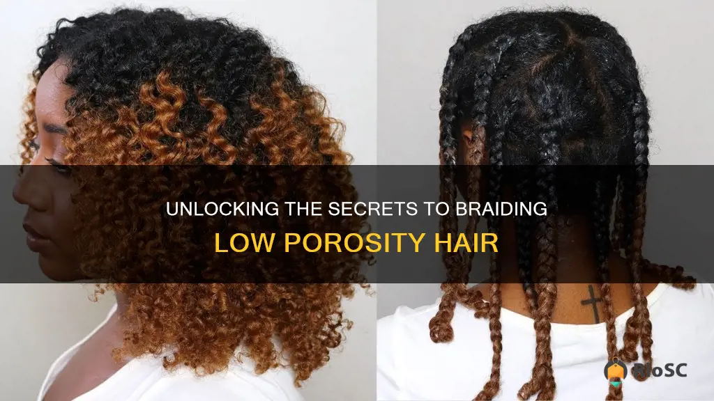 best braiding hair for low porosity hair