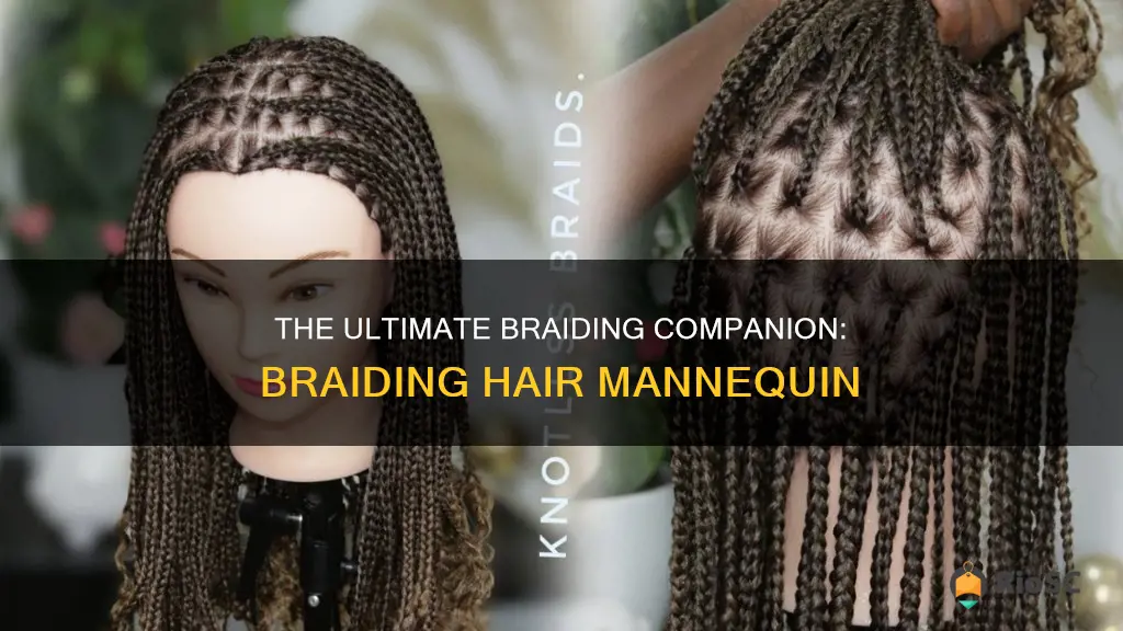 best braiding hair mannequin