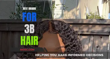 Braids for 3B Hair: Embrace Your Curl Pattern