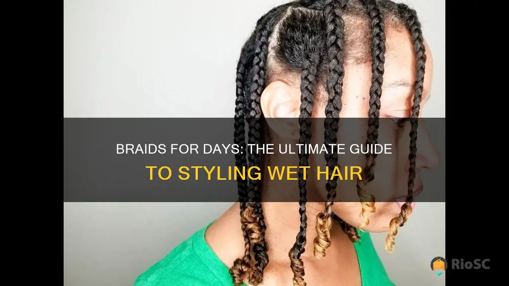 best braids for wet hair