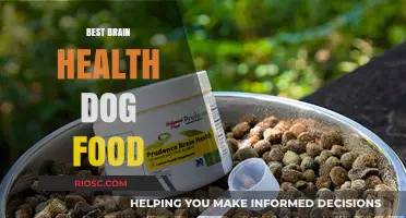 Nourishing Minds: Top Dog Foods for Optimal Brain Health