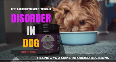 Top Brain Supplements for Managing Canine Cognitive Dysfunction: Enhancing Your Dog's Mental Health