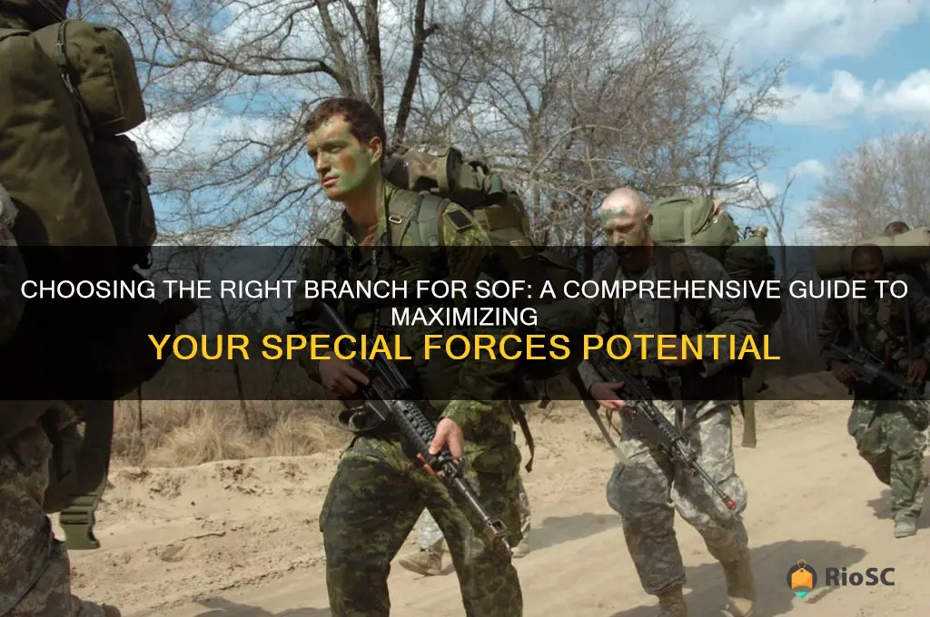 best branch for sof