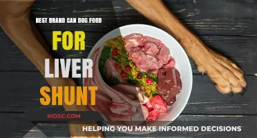 Top Brand Choices for Canine Liver Shunt Diets: A Comprehensive Guide