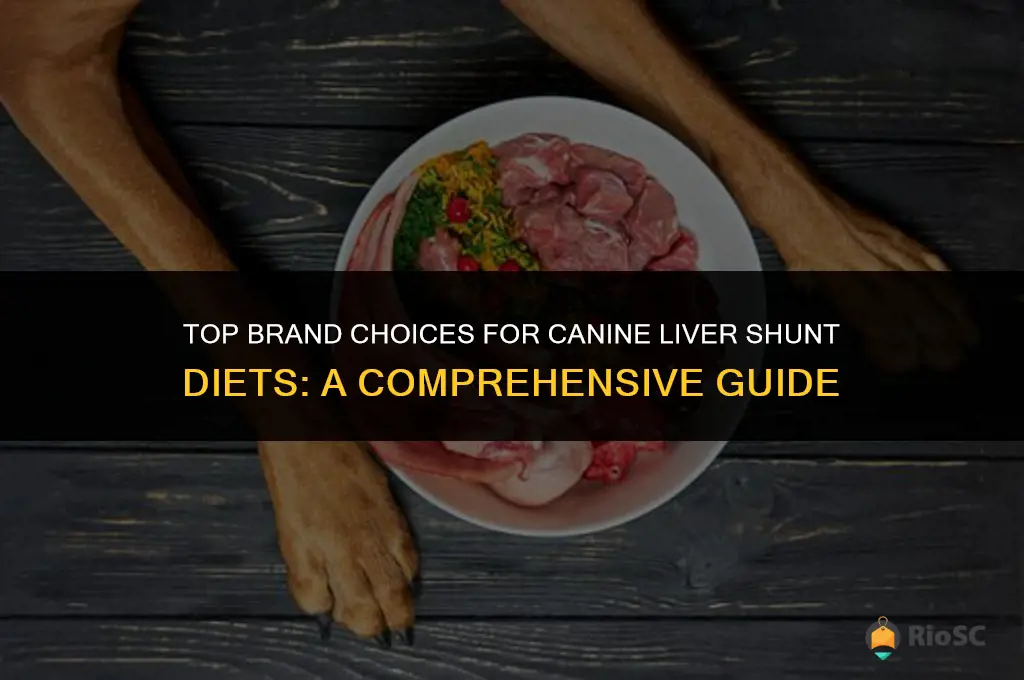 best brand can dog food for liver shunt