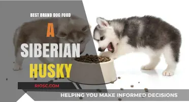 Top-Rated Dog Food Brands for Siberian Huskies: A Comprehensive Guide