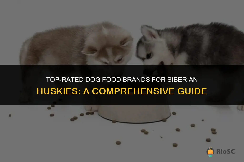 best brand dog food a siberian husky