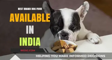 Top-Rated Dog Food Brands in India: A Comprehensive Guide for Pet Owners