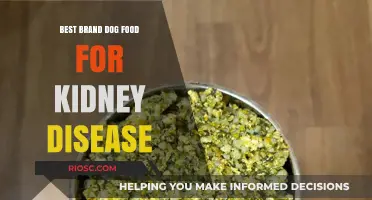 Top-Rated Dog Foods for Kidney Health: A Comprehensive Guide for Pet Owners