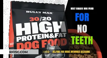 Top-Rated Dog Foods for Seniors with No Teeth: A Comprehensive Guide