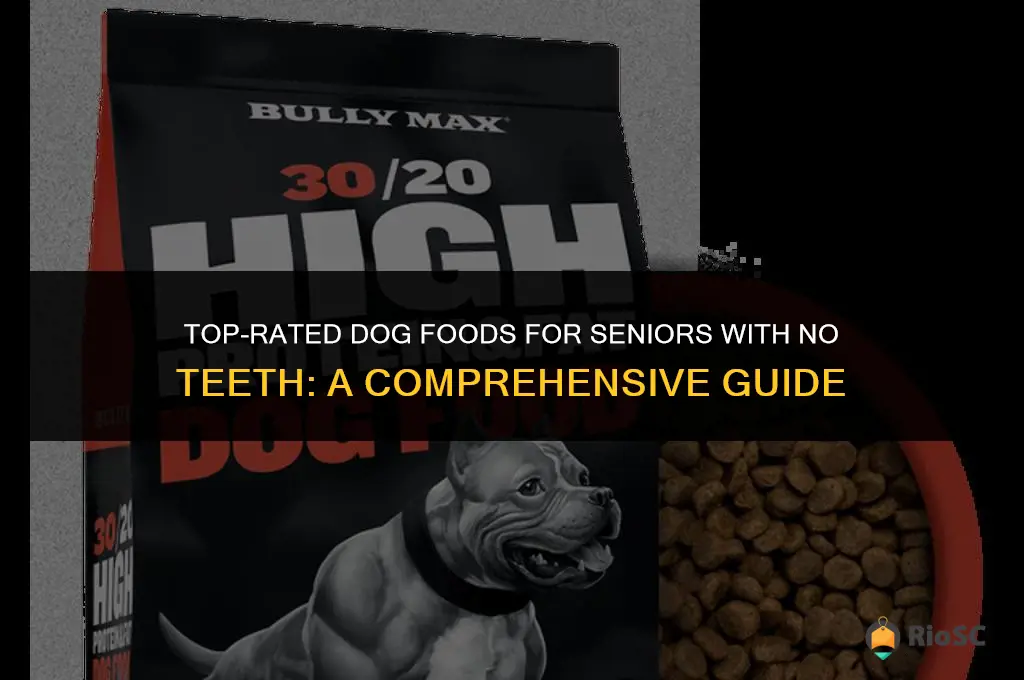 best brand dog food for no teeth