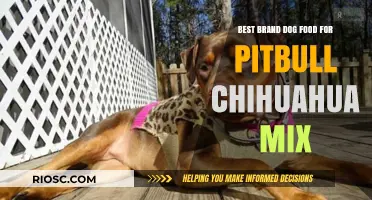 Top-Rated Dog Food Brands for Your Pitbull Chihuahua Mix: A Comprehensive Guide