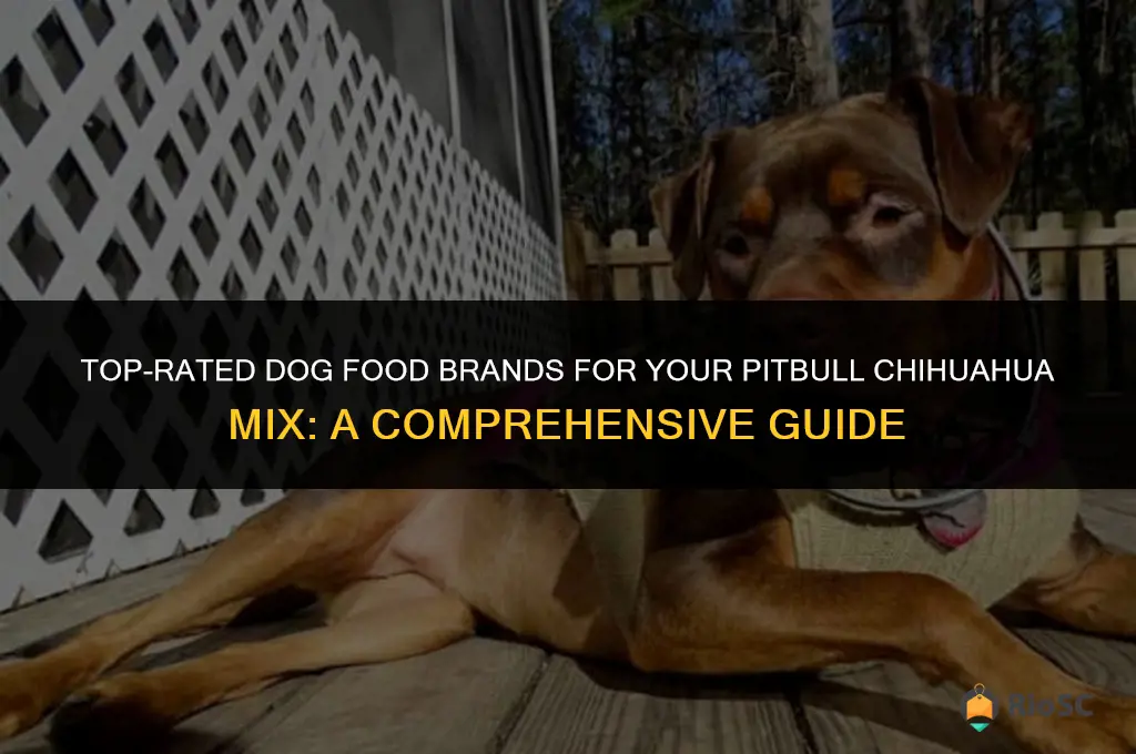 best brand dog food for pitbull chihuahua mix