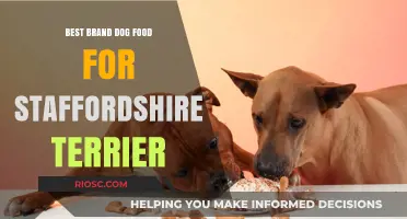 Top-Rated Dog Food Brands for Staffordshire Terriers: A Comprehensive Guide