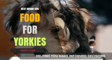 Top-Rated Dog Food Brands for Yorkshire Terriers: A Comprehensive Guide