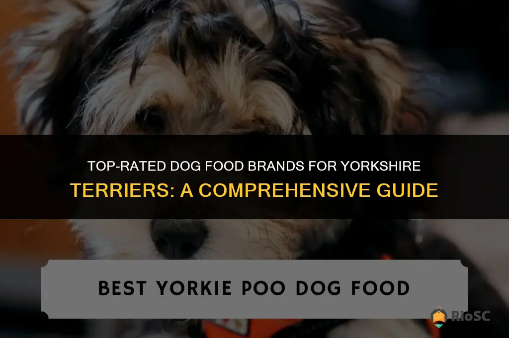 best brand dog food for yorkies
