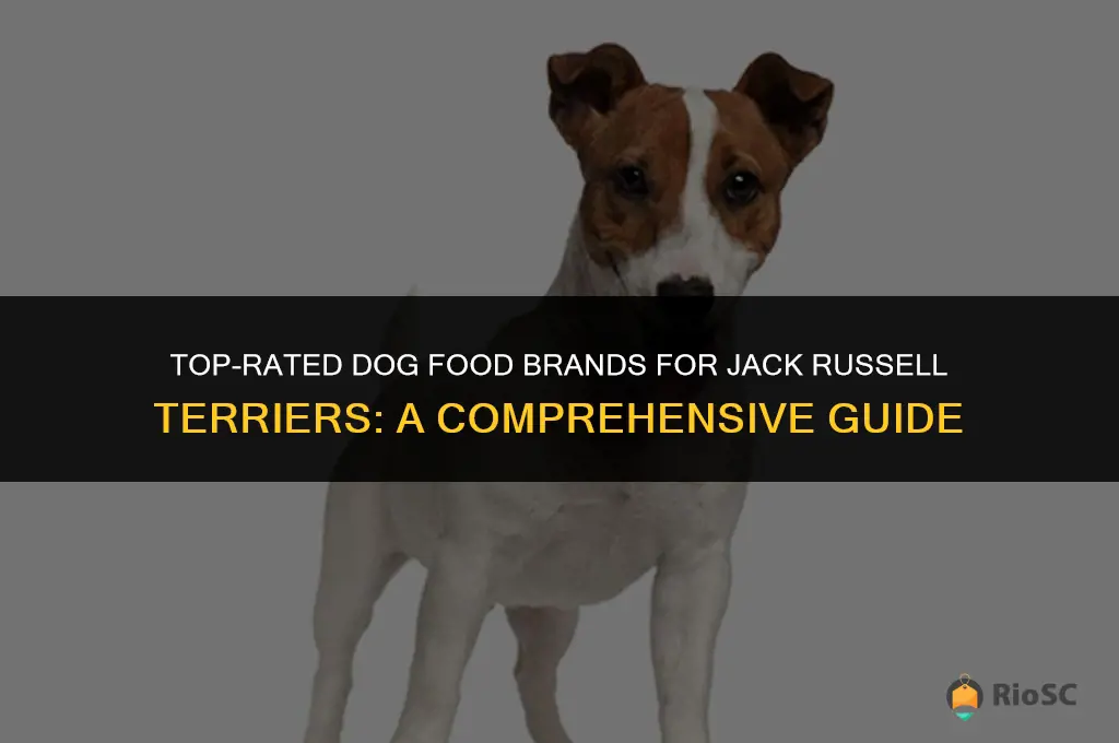 best brand dog food jack russell terrier