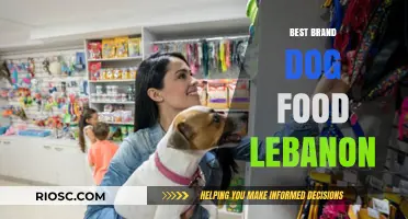 Top-Rated Dog Food Brands in Lebanon: A Comprehensive Guide for Pet Owners