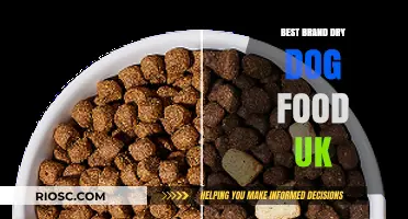 Top-Rated Dry Dog Food Brands in the UK: A Comprehensive Guide for Pet Owners