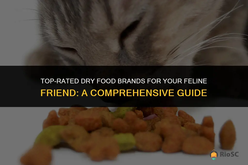 best brand dry food cat