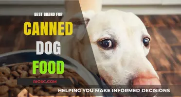Top-Rated Canned Dog Food Brands: A Comprehensive Guide for Pet Owners