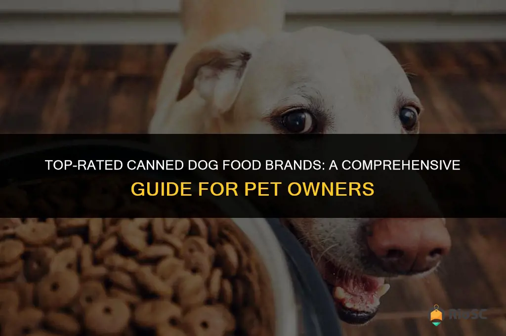 best brand for canned dog food
