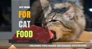 Top-Rated Cat Food Brands: A Comprehensive Guide for Feline Nutrition