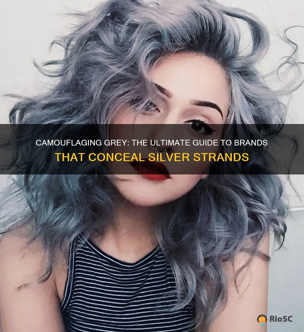 best brand for covering grey hair