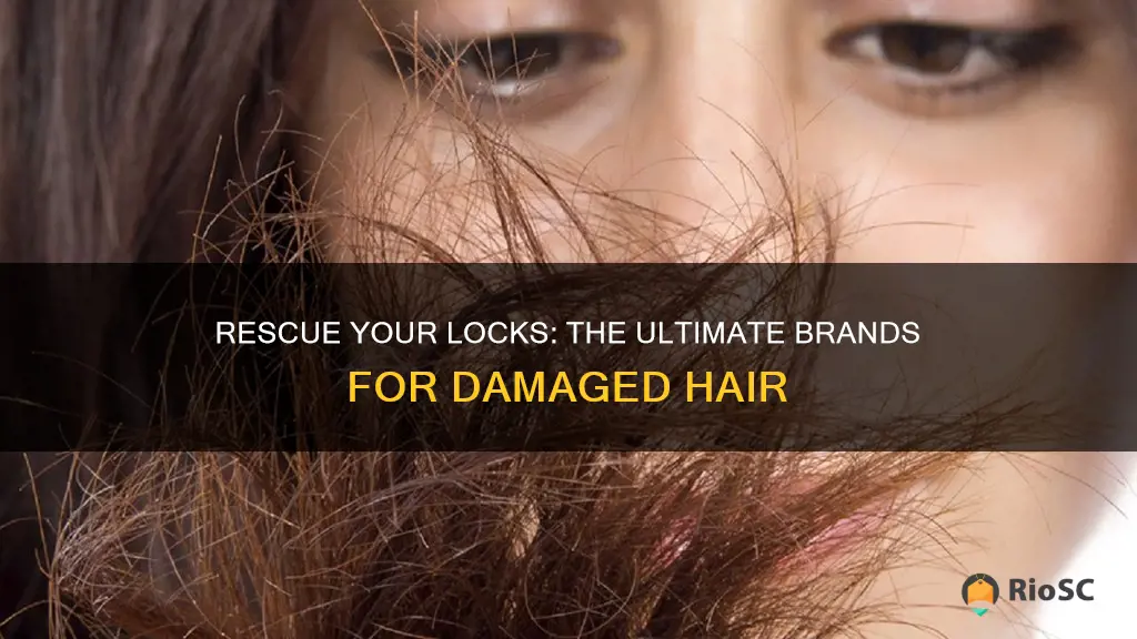 best brand for damaged hair