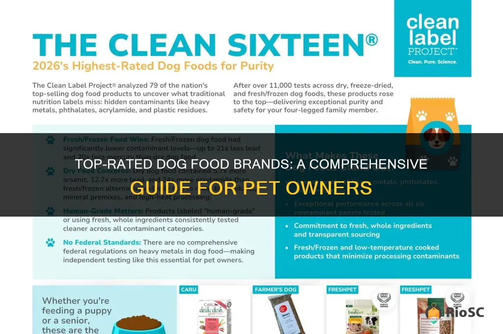 best brand for dog food