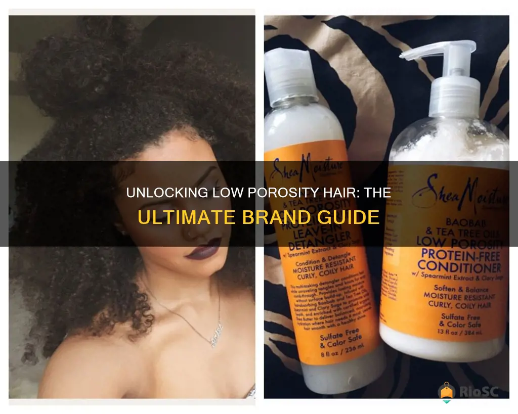 best brand for low porosity hair