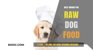 Top-Rated Raw Dog Food Brands: A Comprehensive Guide for Pet Owners