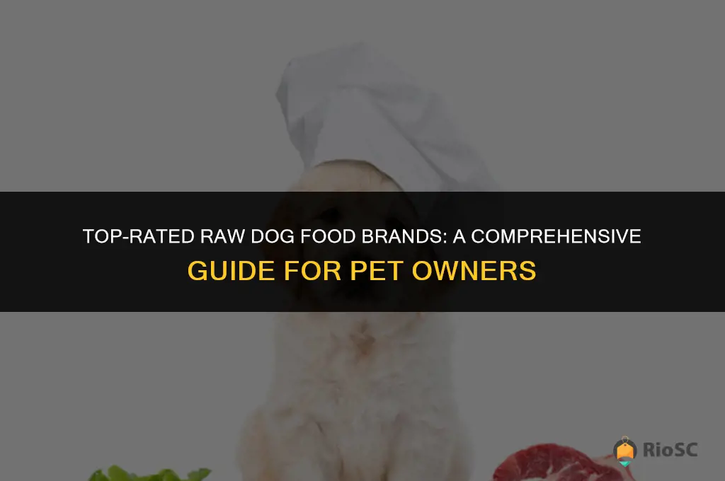 best brand for raw dog food