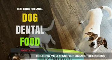 Top Picks for Your Pup's Smile: Best Dental Food Brands for Small Dogs