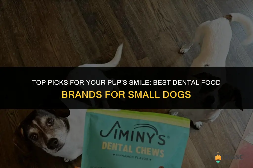 best brand for small dog dental food