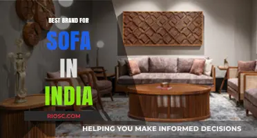 Top Sofa Brands in India: Comfort, Style, and Durability Compared