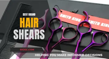 Expert's Guide to Branded Hair Shears: Precision and Quality