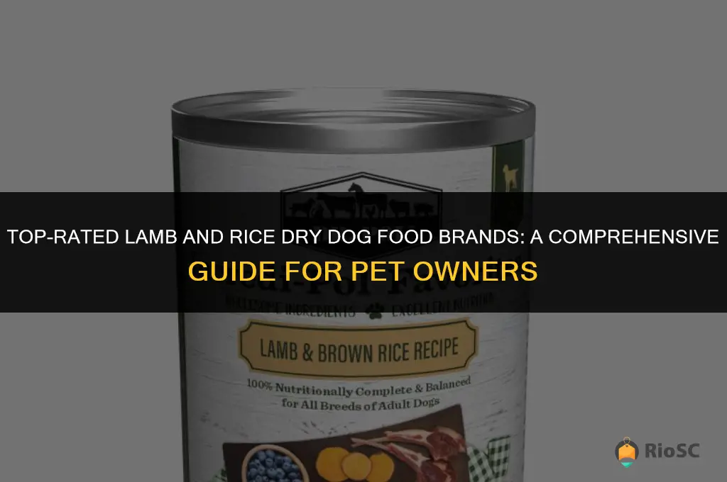 best brand lamb and rice dry dog food