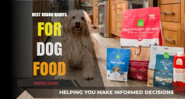 Top-Rated Dog Food Brands: A Comprehensive Guide for Pet Owners